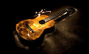 Guitar, plucked Photograph by Karen Smale
