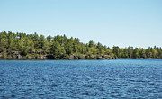 Gull Lake Photograph by JGracey Stinson