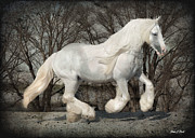 Gypsy Forest Photograph by Fran J Scott