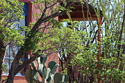 Hacienda Photograph by Colleen Cornelius
