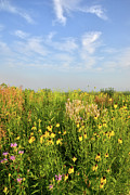 Hackmatack National Wildllife Refuge Photograph by Ray Mathis