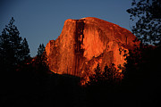Half Dome from Sentinel Drive Bridge Photograph by Raymond Salani III