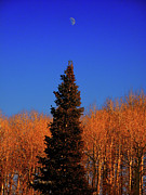 Half Moon Photograph by Raymond Salani III Half Moon Photograph by Raymond Salani III