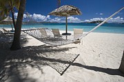 Hammock on the beach Photograph by Hammock on the beach