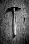 Hand Weeder Photograph by YoPedro