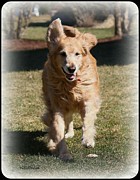 Happiness Photograph by Veronica Batterson
