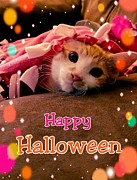 Happy Halloween  Photograph by Yazid Ismail