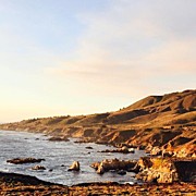 Happy Place..missing The California Photograph by Scott Pellegrin
