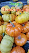 Happy Thanksgiving  Photograph by Yazid Ismail