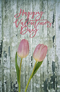 Happy Valentines Day Photograph by Kim Hojnacki