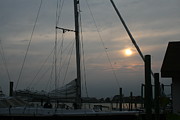 Harbor Sunset Photograph by Brad Nellis