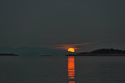 Harvest Moon Photograph by Randy Hall