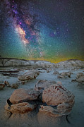 Hatched by the Stars Photograph by Ralf Rohner