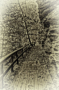 Havana Pathway in Sepia Photograph by William Norton Havana Pathway in Sepia Photograph by William Norton