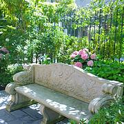 Have A Seat In My Secret Garden. #patio Photograph by Shari Warren