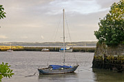 Haven. Smooth water. Photograph by Elena Perelman
