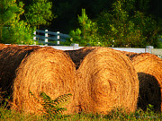 Hay Bales Photograph by Todd Blanchard