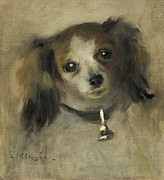 Head Of A Dog Painting by Auguste Renoir