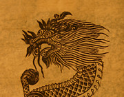 Head of the Dragon Photograph by Robert E Alter Reflections of Infinity