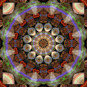 Healing Mandala 30 Photograph by Bell And Todd
