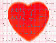 Heart And Ekg Reading Photograph by George Mattei