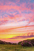 Heaven Photograph by Tyler Penland