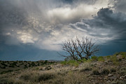 Heavy Clouds No Rain Photograph by Mary Lee Dereske