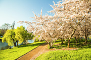 Hello, I'm in Deloraine Photograph by Jorgo Photography Hello, I'm in Deloraine Photograph by Jorgo Photography