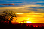 Here Comes The Sun Photograph by James BO Insogna