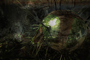 Hibernation Digital Art by Jonas Luis