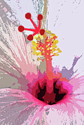 Hibiscus Composition Photograph by Mafalda Cento