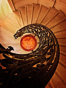 Hidden Dragon Photograph by Jill Love