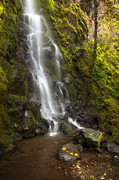 Hidden Gem Photograph by Jon Ares