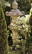 Hidden Pagoda with Sepia Tint Photograph by Colleen Cornelius