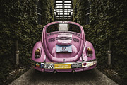 Hippie Chick Love Bug Photograph by Scott Norris