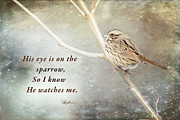 His Eye is on the Sparrow Photograph by Eleanor Abramson His Eye is on the Sparrow Photograph by Eleanor Abramson
