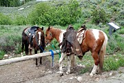 Hitching Post Photograph by Jim Goodman