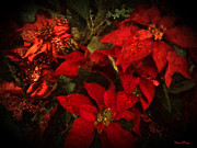Holiday Painted Poinsettias Digital Art by Alicia Hollinger