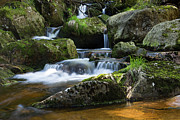 Holtemme, Harz Photograph by Andreas Levi