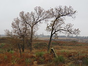 Holy Cross Shrine in the Distance Photograph by Keith Stokes