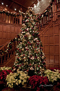 Home for Christmas Photograph by Joann Copeland-Paul Home for Christmas Photograph by Joann Copeland-Paul