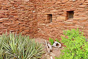 Hopi House Garden Photograph by Julie Niemela