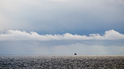 Horizontal Blues Photograph by Kathy Paynter