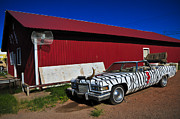 Horn Dog Photograph by Skip Hunt