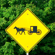 Horsepower Photograph by Kathy K McClellan