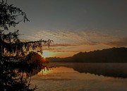 Hudson Springs Shoreline Sunrise Photograph by Brad Nellis