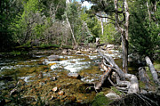 Hugel River Photograph by Nicholas Blackwell