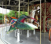 Hummingbird on Carousel Photograph by Colleen Cornelius Hummingbird on Carousel Photograph by Colleen Cornelius