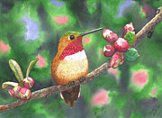 Hummy Painting by Catherine G McElroy