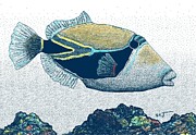 Humuhumu colored Digital Art by Stephen Jorgensen